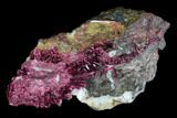 Vibrant, Magenta Erythrite Crystals - Morocco #93598-1